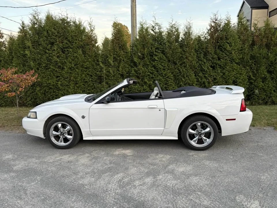 2004 Ford SN95 Mustang - Image 9 of 10