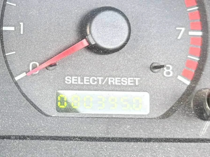 2004 Ford SN95 Mustang - Image 10 of 10