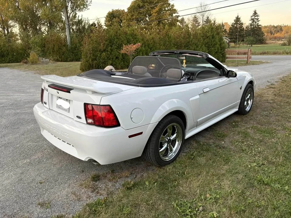 2004 Ford SN95 Mustang - Image 7 of 10