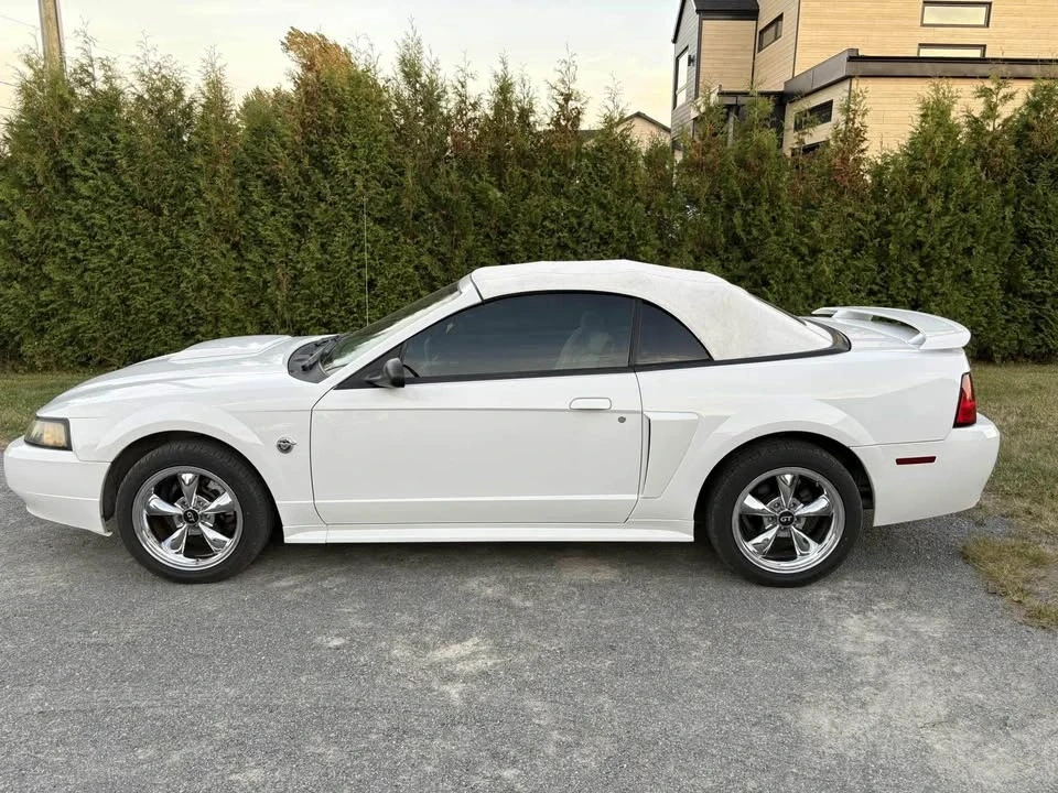 2004 Ford SN95 Mustang - Image 4 of 10