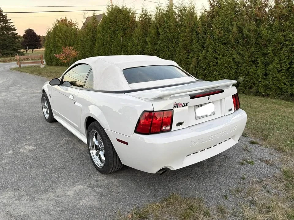 2004 Ford SN95 Mustang - Image 5 of 10