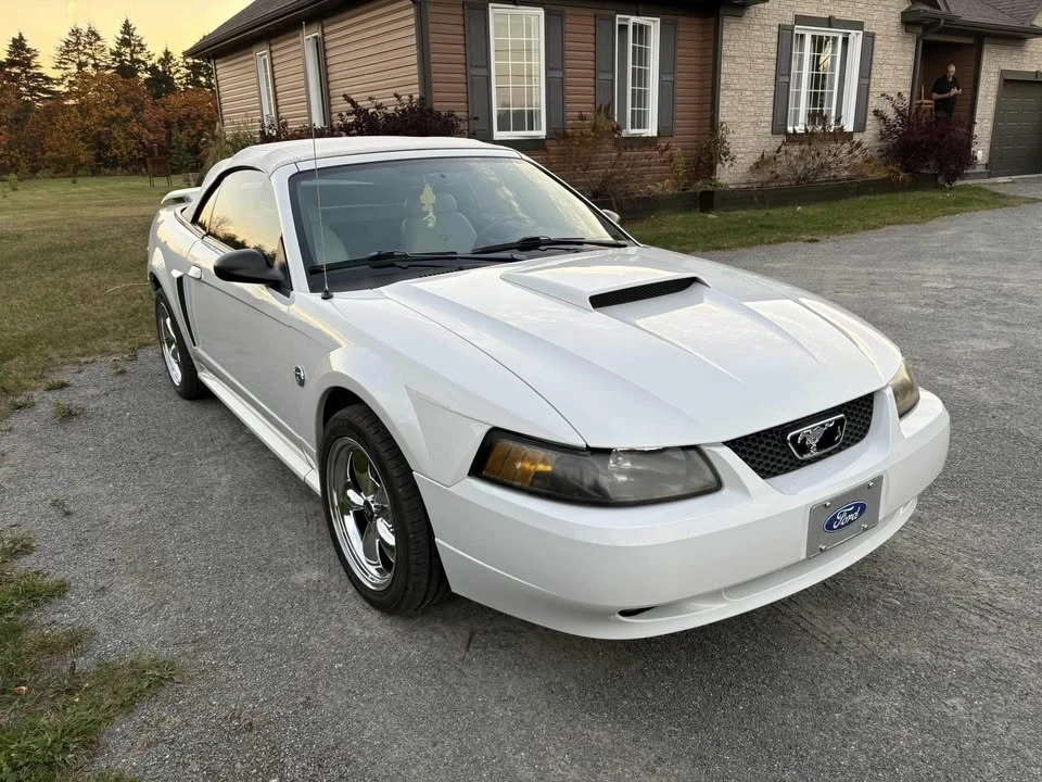 2004 Ford SN95 Mustang - Image 6 of 10