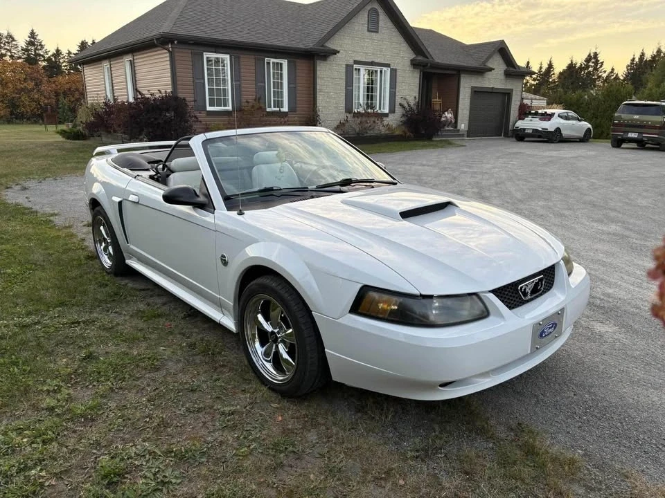 2004 Ford SN95 Mustang - Image 2 of 10