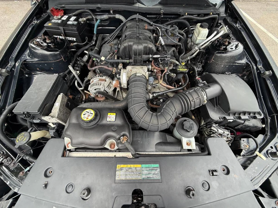 2009 Ford S197 Mustang - Image 13 of 24