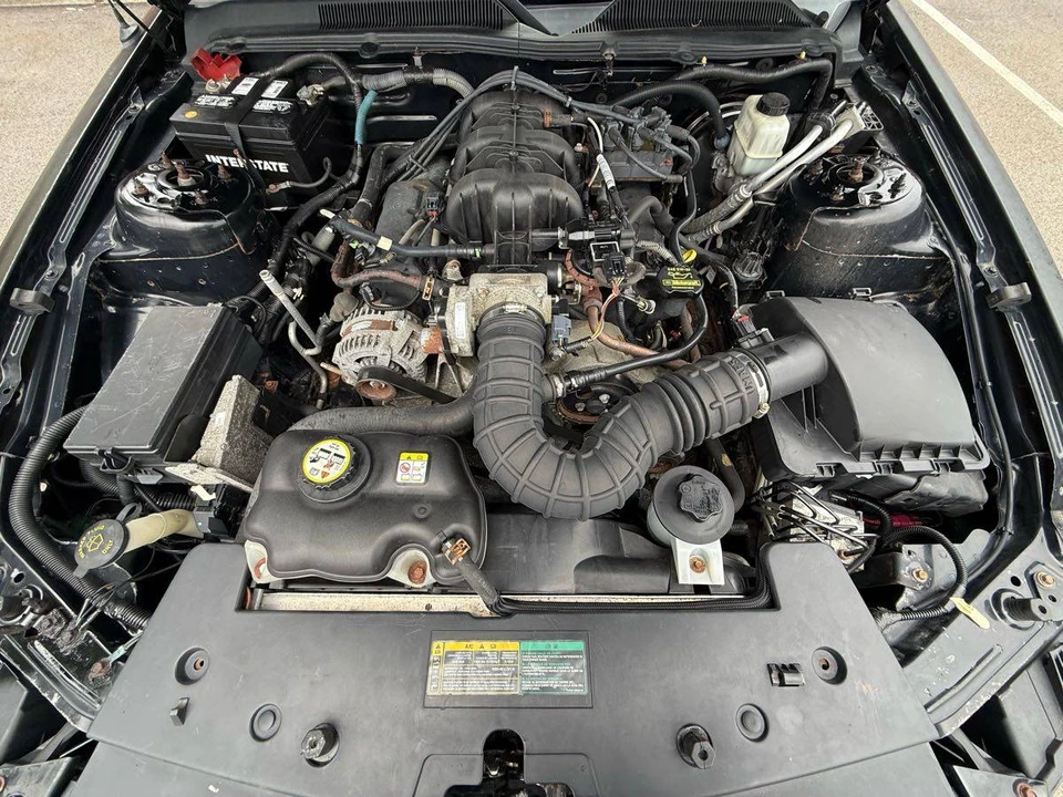 2009 Ford S197 Mustang - Image 15 of 24
