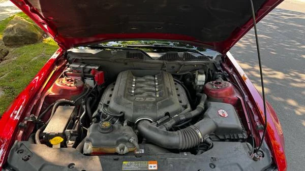 2012 Ford S197 Mustang - Image 14 of 14