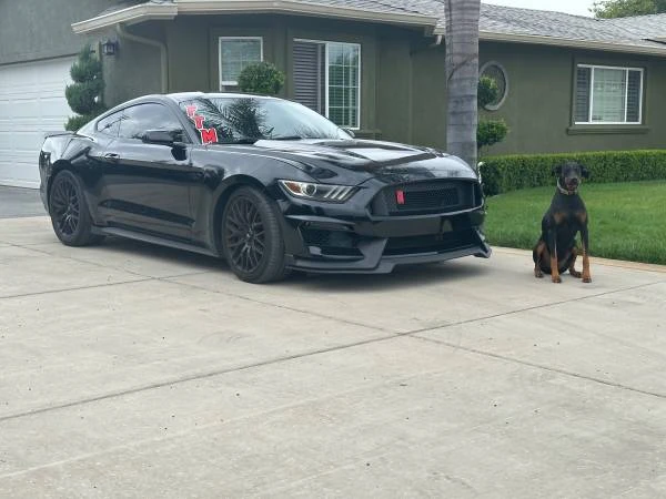 2016 Ford S550 Mustang - Image 7 of 8
