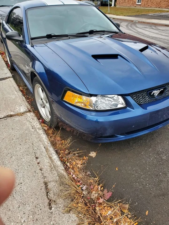 2000 Ford SN95 Mustang - Image 5 of 8