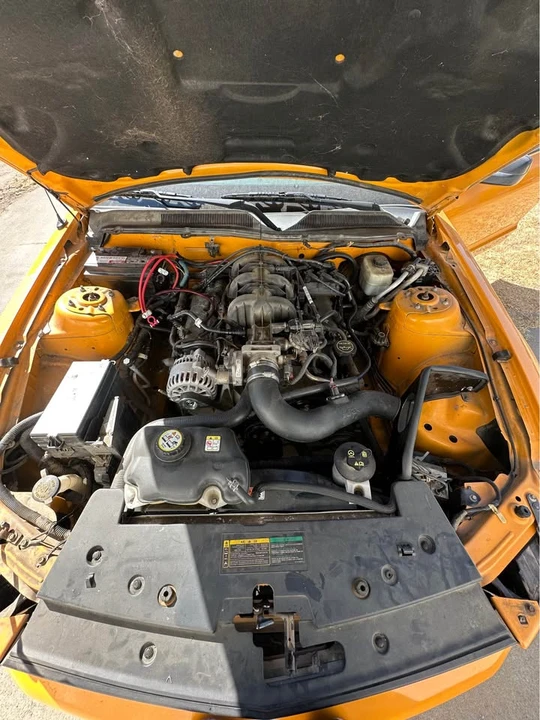 2007 Ford S197 Mustang - Image 8 of 10