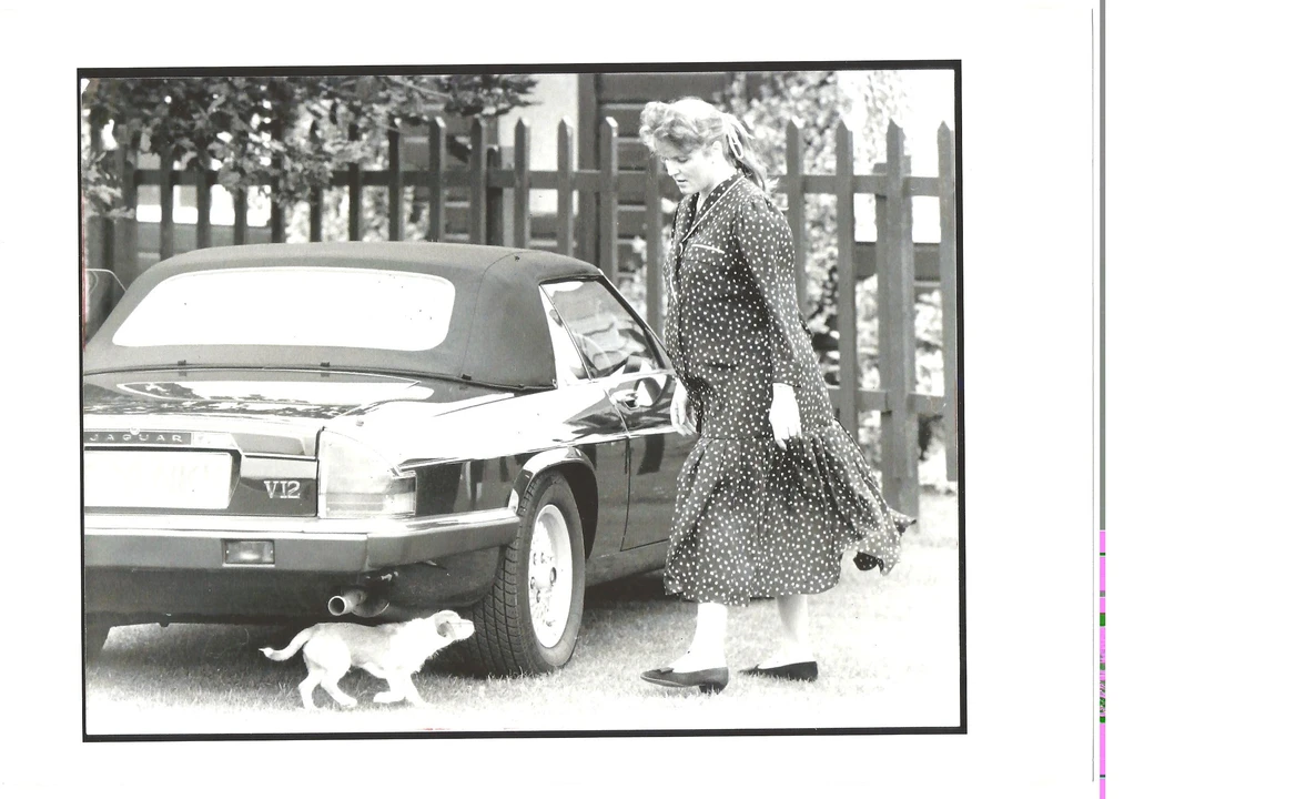 1988 Jaguar XJS Pre-Facelift V12 - Image 5 of 5