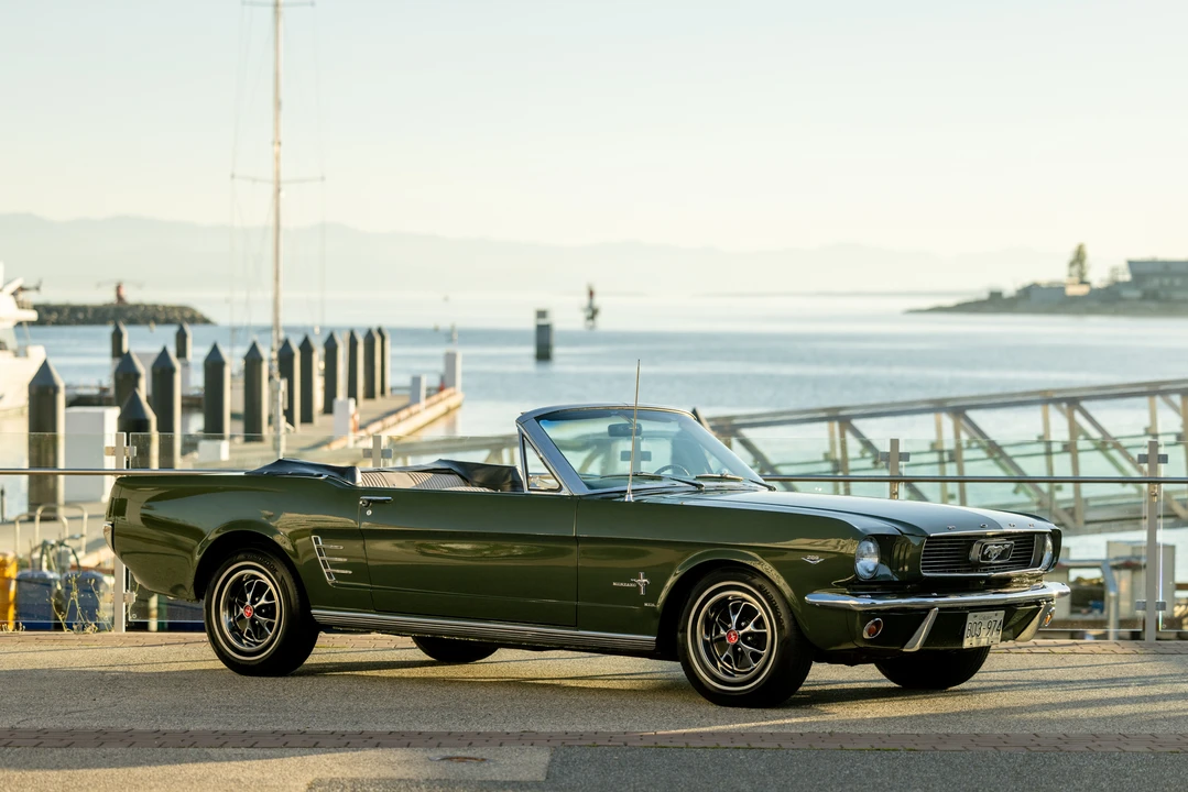 1966 Ford Mustang 1st Gen (1964.5-1966) - Image 3 of 31