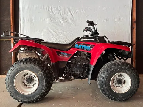 Kawasaki Bayou 220