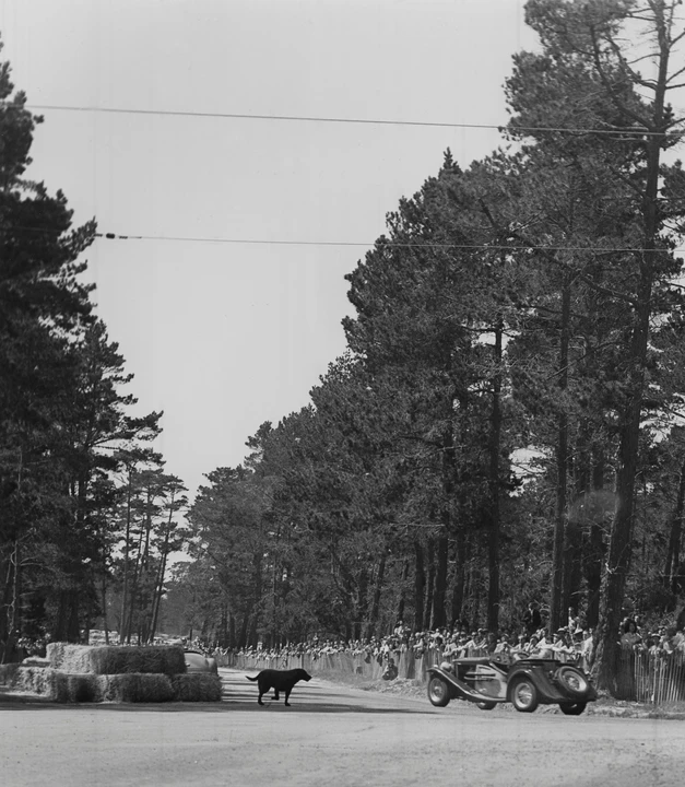 1936 MG TA - Image 2 of 14