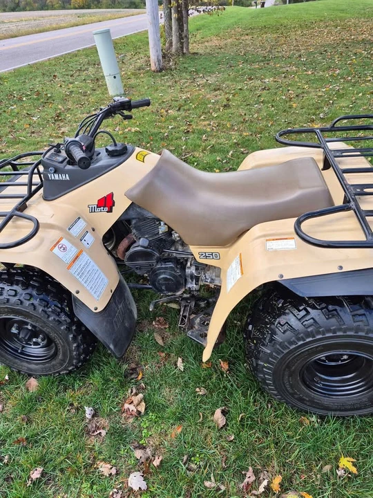Yamaha ATV - Image 3 of 6