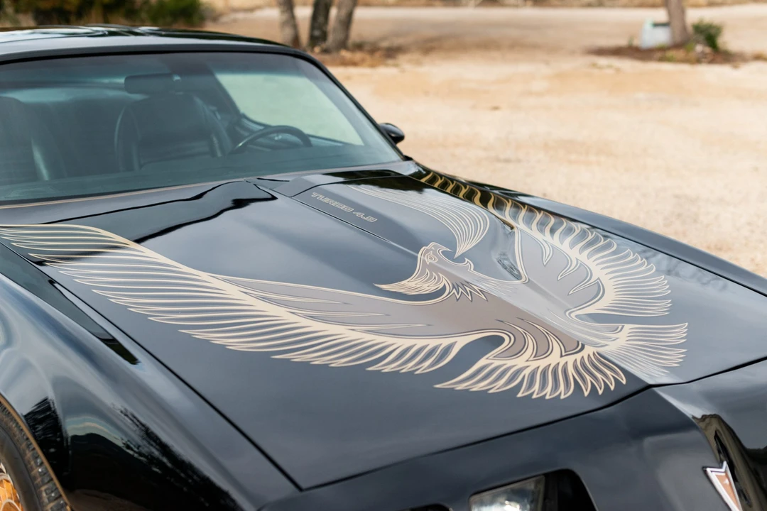 1981 Pontiac Firebird Trans Am 2nd Gen - Image 17 of 31