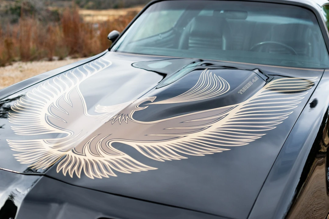 1981 Pontiac Firebird Trans Am 2nd Gen - Image 11 of 31