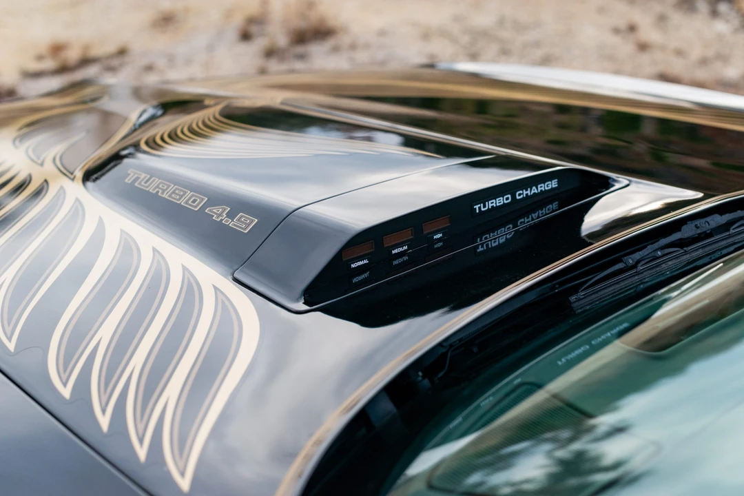 1981 Pontiac Firebird Trans Am 2nd Gen - Image 31 of 31