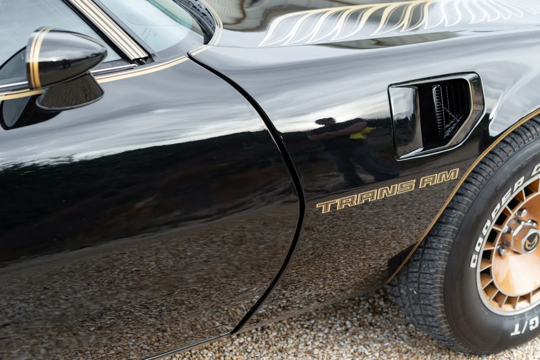 1981 Pontiac Firebird Trans Am 2nd Gen - Image 24 of 31
