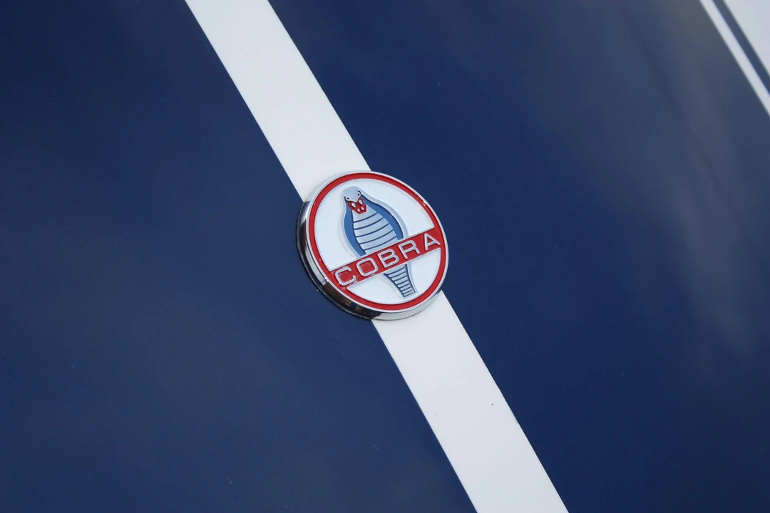Shelby Cobra Replica - Image 13 of 31