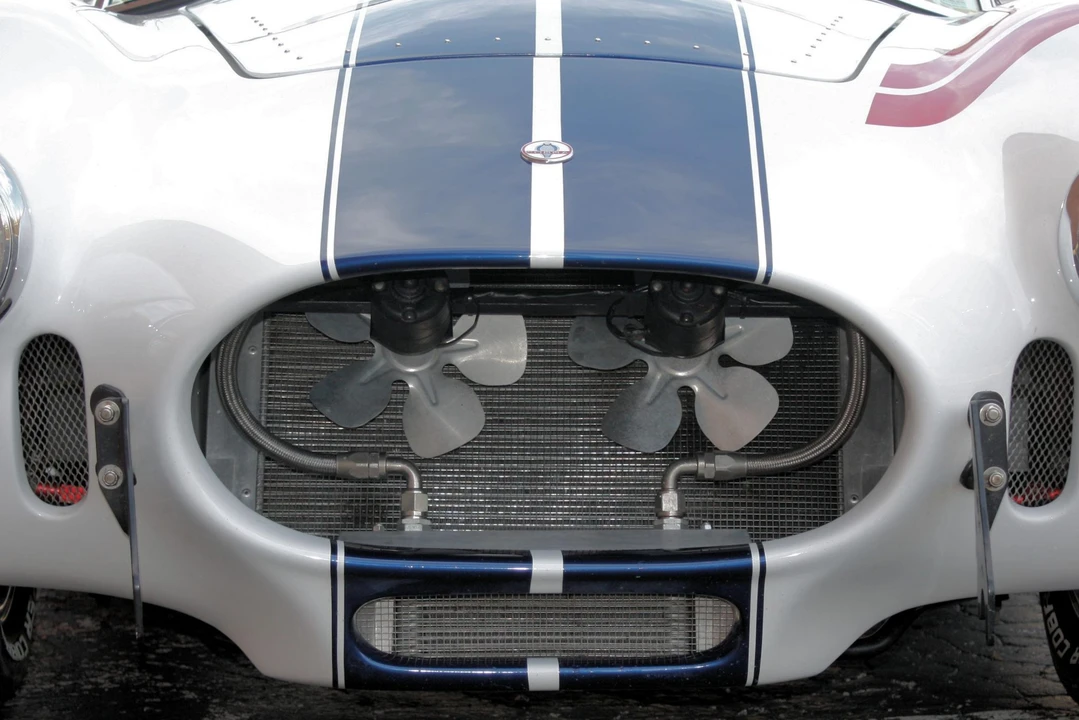 Shelby Cobra Replica - Image 14 of 31