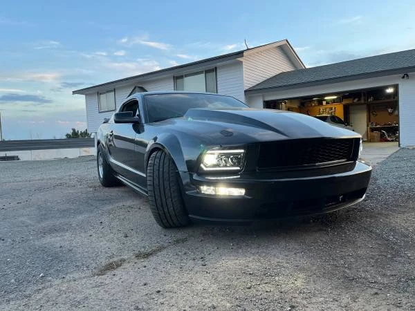 2005 Ford S197 Mustang - Image 9 of 19