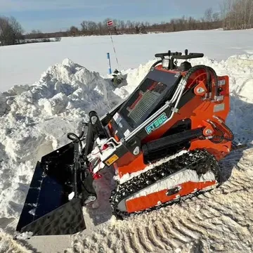 Mini Classic Mini Skid Steer