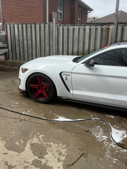2017 Shelby GT350 - Image 2 of 10