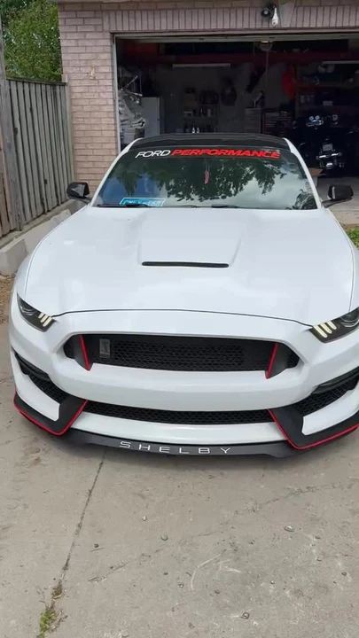 2017 Shelby GT350 - Image 10 of 10
