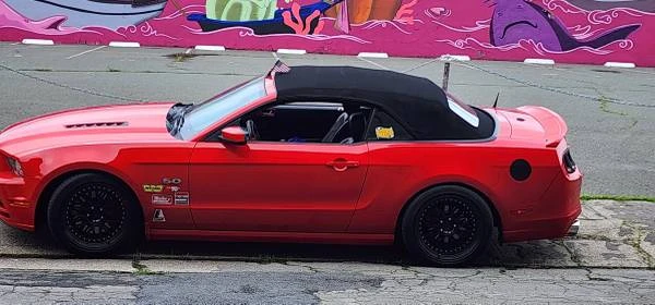 2014 Ford S197 Mustang - Image 15 of 21
