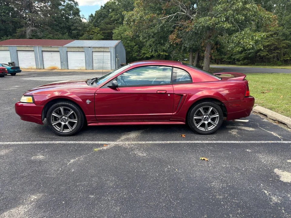 1999 Ford SN95 Mustang - Image 8 of 9