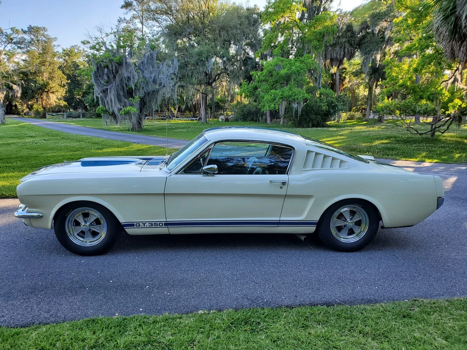 1965 Ford Mustang 1st Gen (1964.5-1966) - Image 3 of 31