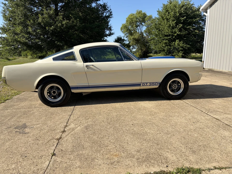 1965 Ford Mustang 1st Gen (1964.5-1966) - Image 3 of 31