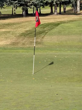 Parts & Memorabilia Golf Share