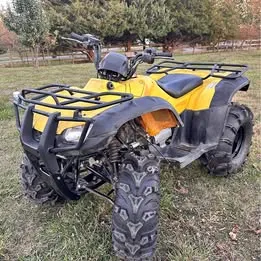 2006 Honda 350
