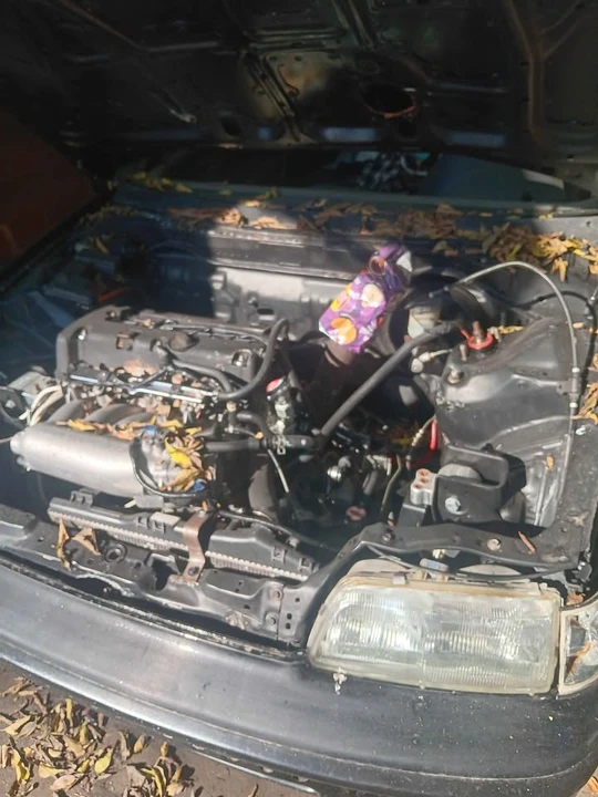 2009 Honda CR-X - Image 5 of 5