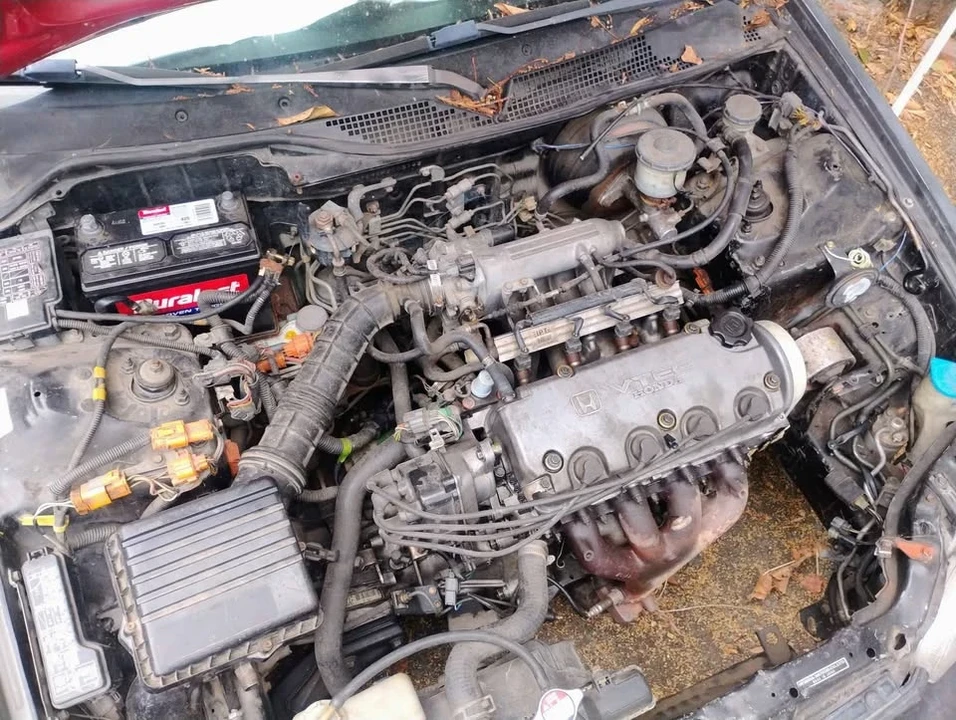 1993 Honda EG Civic - Image 2 of 3