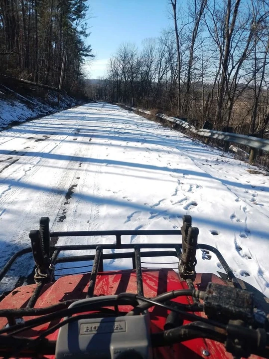 Honda ATV - Image 6 of 9
