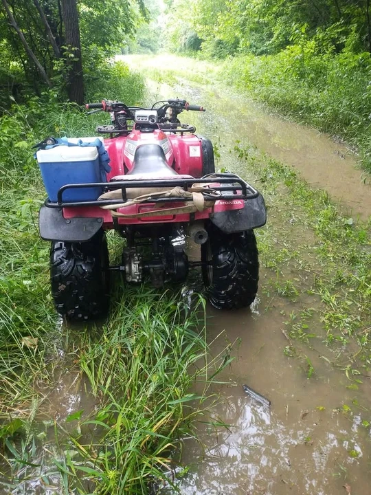 Honda ATV - Image 4 of 9