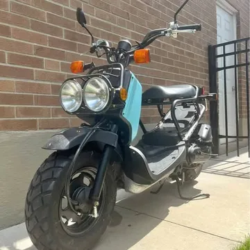 2009 Honda Ruckus