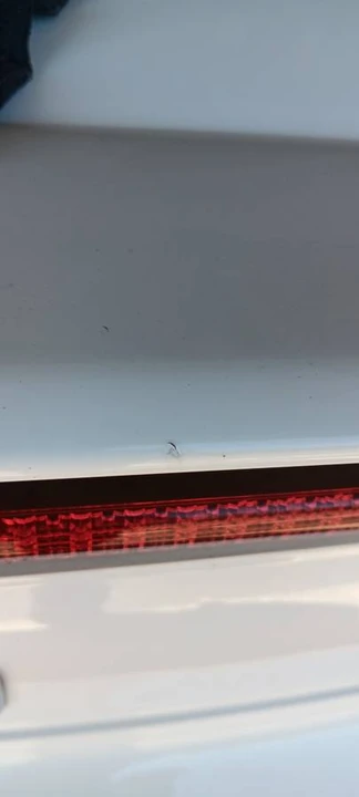 2000 Honda AP1 S2000 - Image 20 of 24