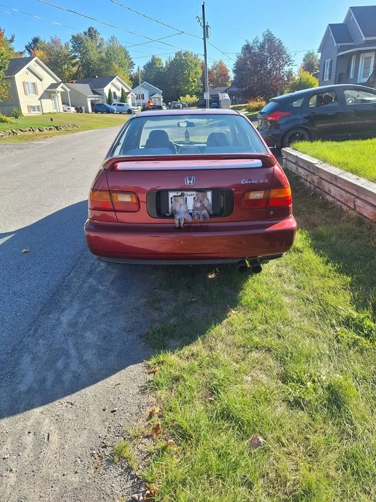 1992 Honda EG Civic - Image 2 of 6