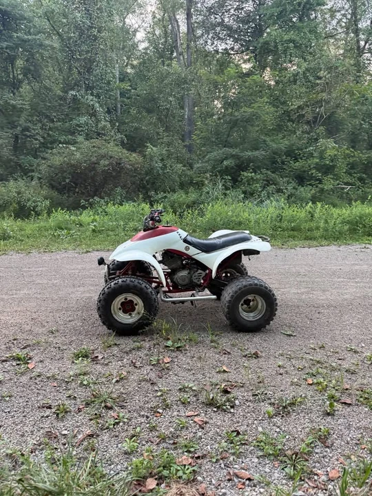 Honda ATV - Image 2 of 3
