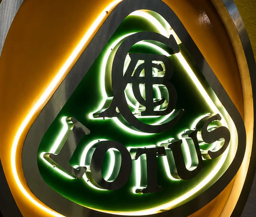 Lotus - Image 7 of 8