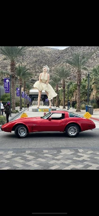 1979 Chevrolet Corvette C3 - Image 7 of 20