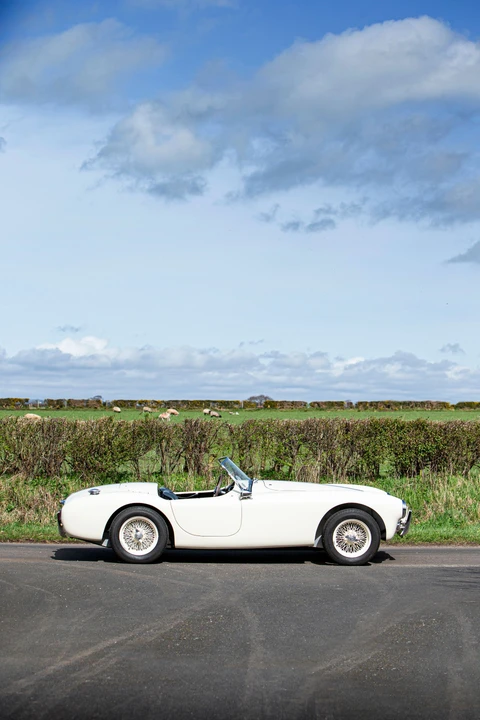 1961 AC Ace & Aceca - Image 10 of 31