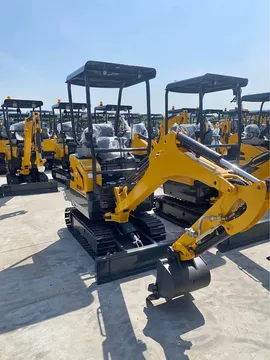 Parts & Memorabilia Mini Digger (2024)