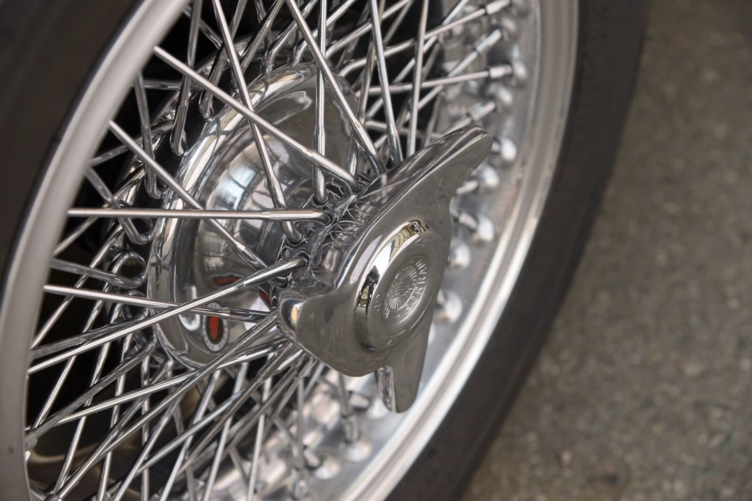 Iso Rivolta - Image 13 of 13