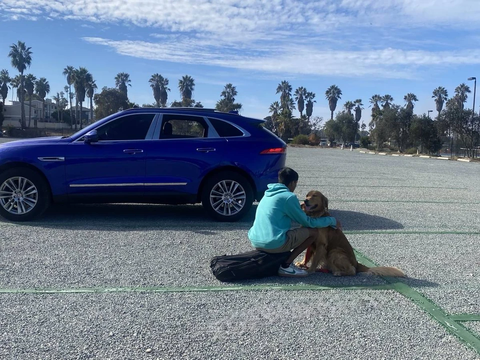2018 Jaguar F-Pace - Image 3 of 6