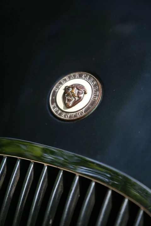 Jaguar Replica - Image 11 of 12