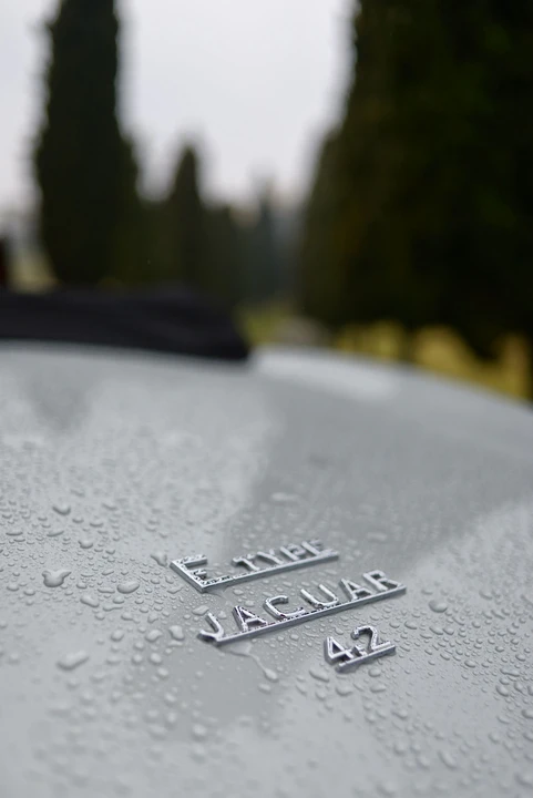 Jaguar E-Type Series 1 - Image 25 of 25